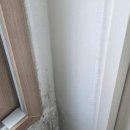 위드제이 이미지