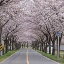 달창로,달창로26길 이미지