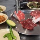 바이소 이미지