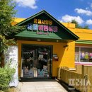 장성어린이집 이미지