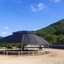 순천승마장 이미지