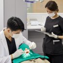 평촌심미치과의원 네이버블로그