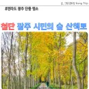 시민의숲산책로1-1 | 전라도 광주 단풍 명소 첨단 광주 시민의 숲 산책로