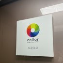 더펄스널컬러 이미지