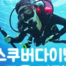 테마스쿠버