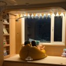 정이인테리어 | [아이방 인테리어] 놀이와 독서, 수납까지 잡은 1석3조 아이방 평상 인테리어 후기