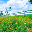 단성면 복지회관 이미지