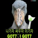 음악중심 갓세븐 사녹후기