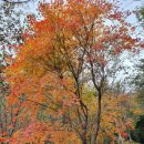 산성시장2 이미지