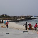 김녕초등학교 이미지