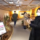 일상비일상 이미지