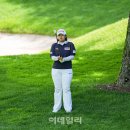 확실하게
