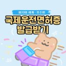 김해메디케어 | 호주워홀준비 : 09.국제면허증 발급 받는 법