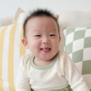 두두데이