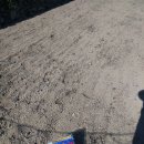 남해-194 이미지