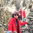 강릉 노추산 모정탑길, 정동진. (25/11/04 촬영) 이미지