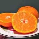 아달달농산 이미지