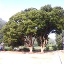 일월초등학교(청기분교) 이미지