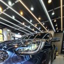 369스팀세차 이미지