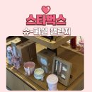 보고봄 | 스타벅스 슈크림라떼 10주년 슈페셜 챌린지 보고 온 후기 (+봄 MD 벚꽃 고양이)