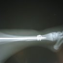 와이즈24시 동물병원 이미지