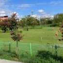 신리수산