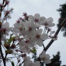 진해재활원 이미지