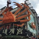 영덕대게 이미지