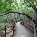 도봉-도봉-2011 이미지