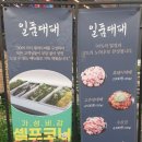 일품대패 두호점 네이버블로그