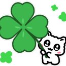 다복향마라탕 의왕점 이미지