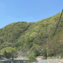 참좋은계단 | 청주 근교 제천 글램핑 [제천 참 좋은 글램핑] 힐링하고 온 대만족 후기🍀🌳