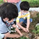 경은농장 이미지