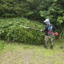 효심 태양광발전소 이미지