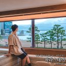 파라스테이 이미지