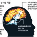 한국孝태권도 이미지