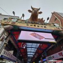 진아축산 이미지