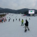 웰리힐리파크 이미지