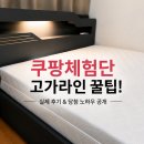 고가 - 홍성군 | 쿠팡체험단 고가제품 당첨 후기! 실제 경험 공유