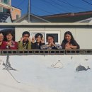 땡칠이 민박 이미지