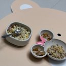 아프로목장 | 👶🏻21개월, 👶🏻10개월 육아일기(고성공룡엑스포/울산하늘공원/동부산롯데아울렛/키즈자라/트니트니)