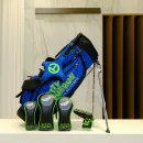 웨이브독 이미지