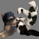 페타모스 이미지