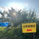 산푸른펜션 | 경주 수영장이 있는 단체 펜션 추천 산푸른펜션