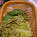 제주흑돈연탄구이 이미지