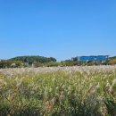 노을빛 정원 이미지