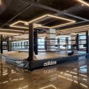 헤라복싱클럽 이미지