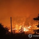 쭌카라반 캠핑장 이미지