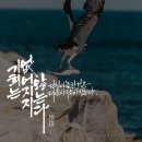 나빛스터디카페 이미지