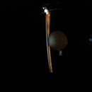 목동 동물병원 이미지